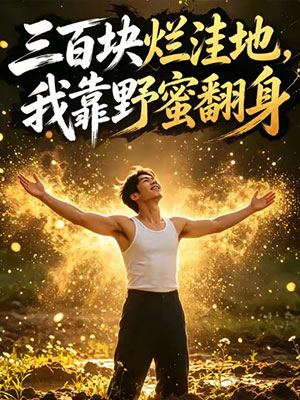 三百块烂洼地封面